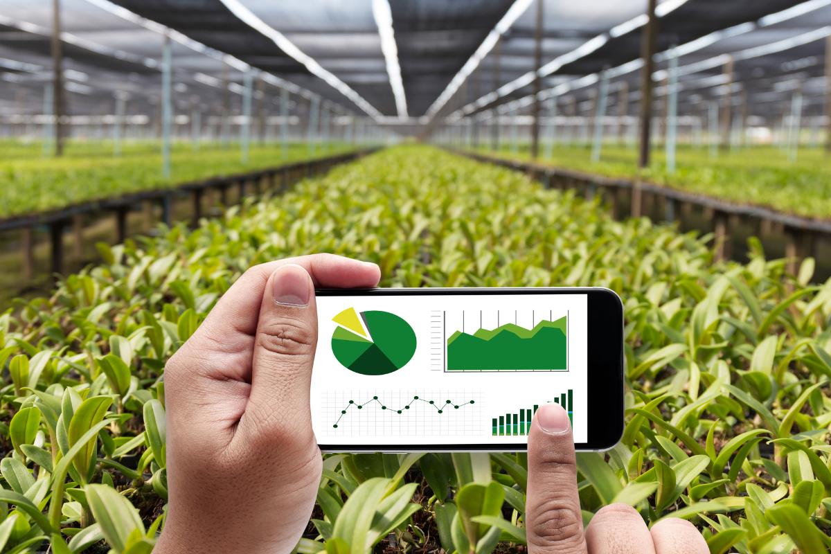 Agricultural Consulting