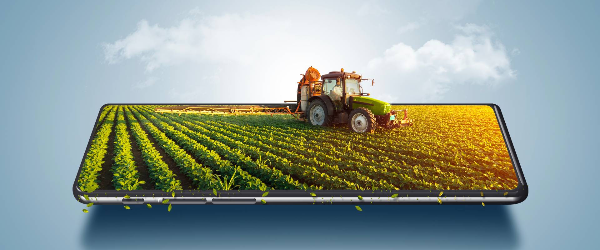 Agricultural Projects